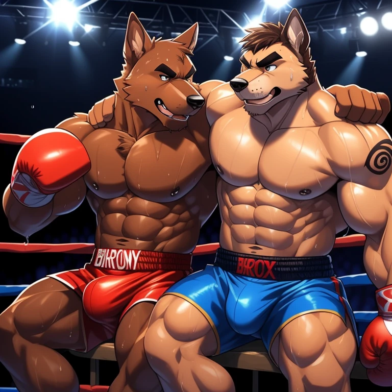 Two male boxing(Brown Dog vs Brown Dog, handsomes, perfect eyes, Thick eyebrows), gay(Sitting on his bulge, body on body, stroking body, on a boxing match), hot(Shirtless), handsomes(They are handsomes, correct anatomy), musculosos(Big muscle bodies, Six packs, muscle abs, big pecs, muscle backs), sweaty(very sweaty wet bodies, shiny sweat), tatuajes(they have tattoos), Angry(They have an angry expression), Boxing gloves(They both are wearing red boxing gloves), boxing shorts(both are wearing boxing shorts), Hight resolution
