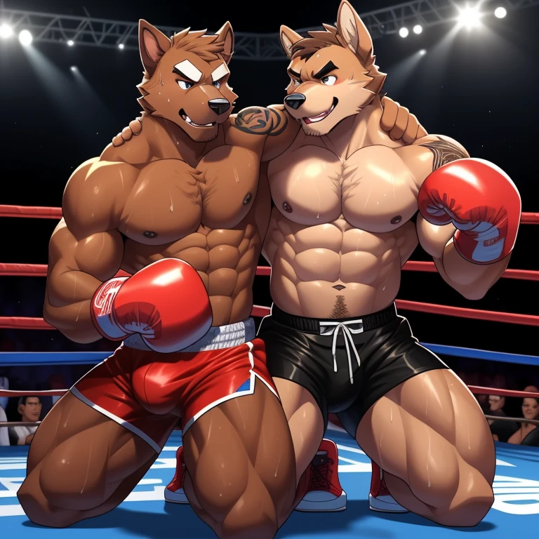 Two male boxing(Brown Dog vs Brown Dog, handsomes, perfect eyes, Thick eyebrows), gay(cuddling kneeling, embraced from behind, on a boxing match), hot(Both are Shirtless, full body, bulges), handsomes(They are handsomes, correct anatomy), musculosos(Big muscle bodies, Six packs, muscle abs, big pecs, muscle backs), sweaty(very sweaty wet bodies, shiny sweat), tatuajes(they have tattoos), Angry(They have an angry expression), Boxing gloves(They both are wearing red boxing gloves), boxing shorts(both are wearing boxing shorts), Hight resolution