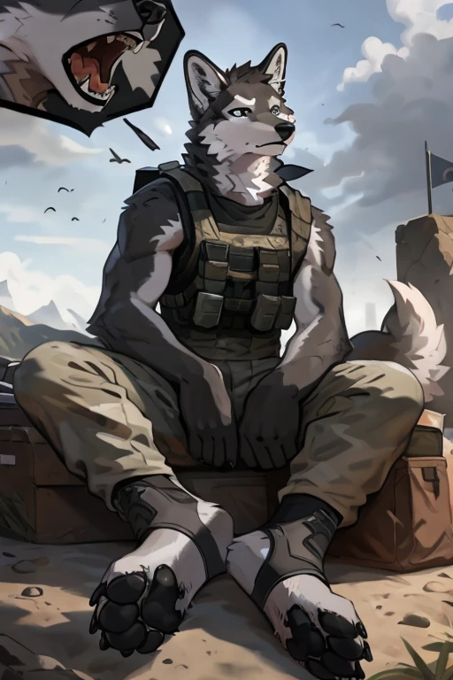 close up view, 
furry,anthro,
male grey wolf, fluffy wolf ears, fluffy wolf tail, grey and white fur, light blue eyes, sharp teeth, pawpads, black pawpads, 
handsome, slim, well-built, 
wearing a black jacket with a tactical vest, baggy tactical pants and black stirrup socks, 
sitting in a military camp on a cloudy, day, war-torn landscape in background, 