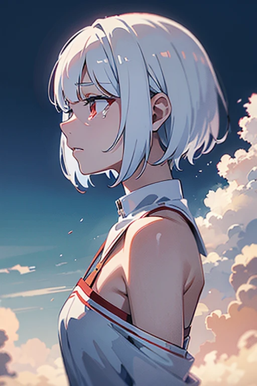 (crying)(white short hair)(red eye)(Sit on the roof)(dusk)(face to the sky)(whole body)(Profile) 4k