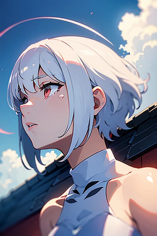 (crying)(white short hair)(red eye)(Sit on the roof)(dusk)(face to the sky)(whole body)(Profile) 4k