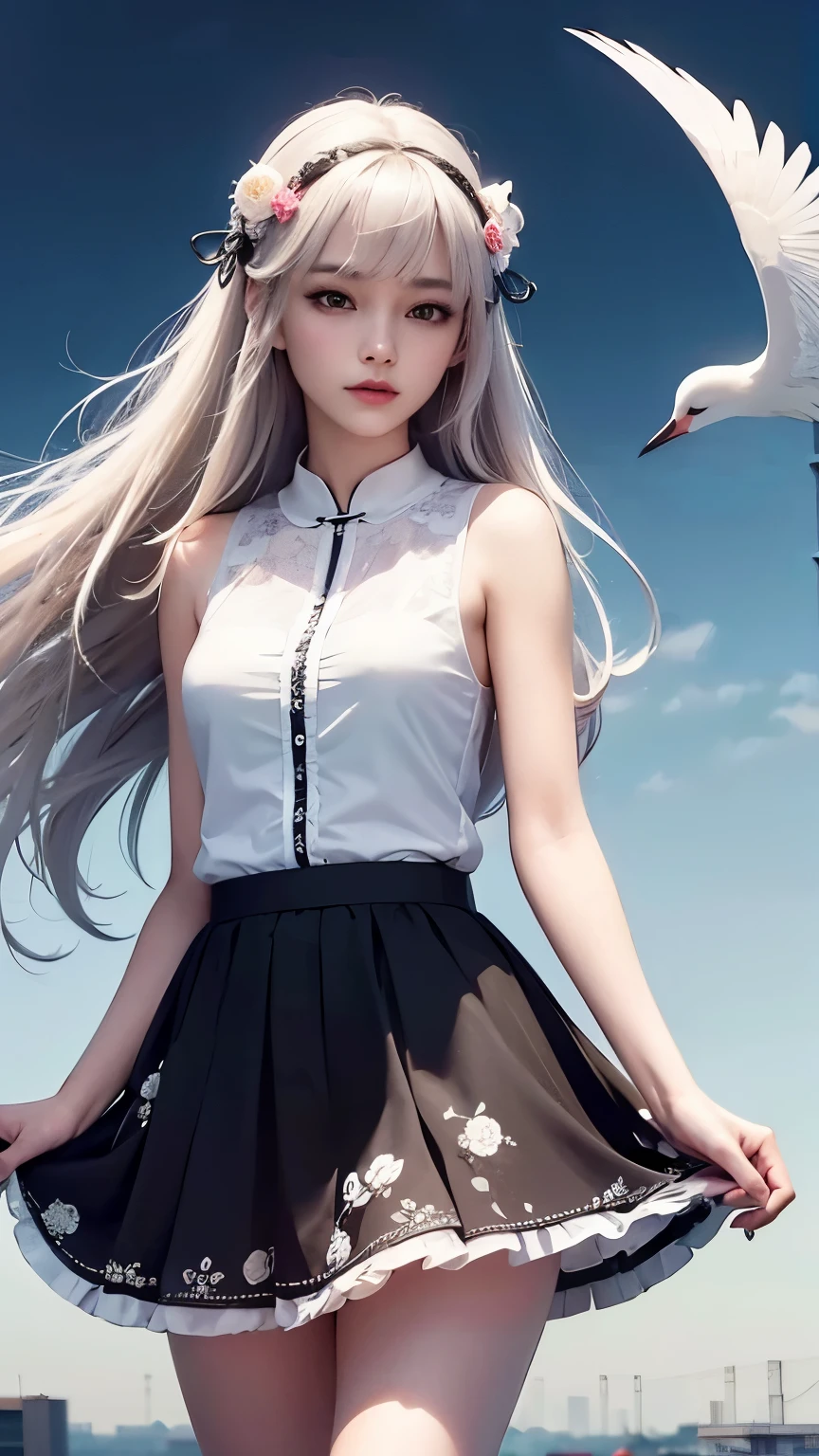 Chinese female college students,Fairy Costume,Crane accessories,There are cranes in the sky in the background.,Black and white floral skirt,((best quality)), ((masterpiece)), (detailed)