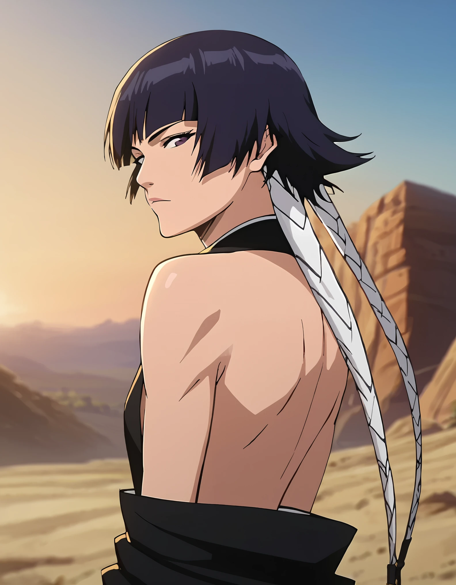 score_9, score_8_up, score_7_up, source_anime, sui-feng, close-up, sleeveless, black kimono, backless, from side, desert sunset <lora:Soi_Fon:1>