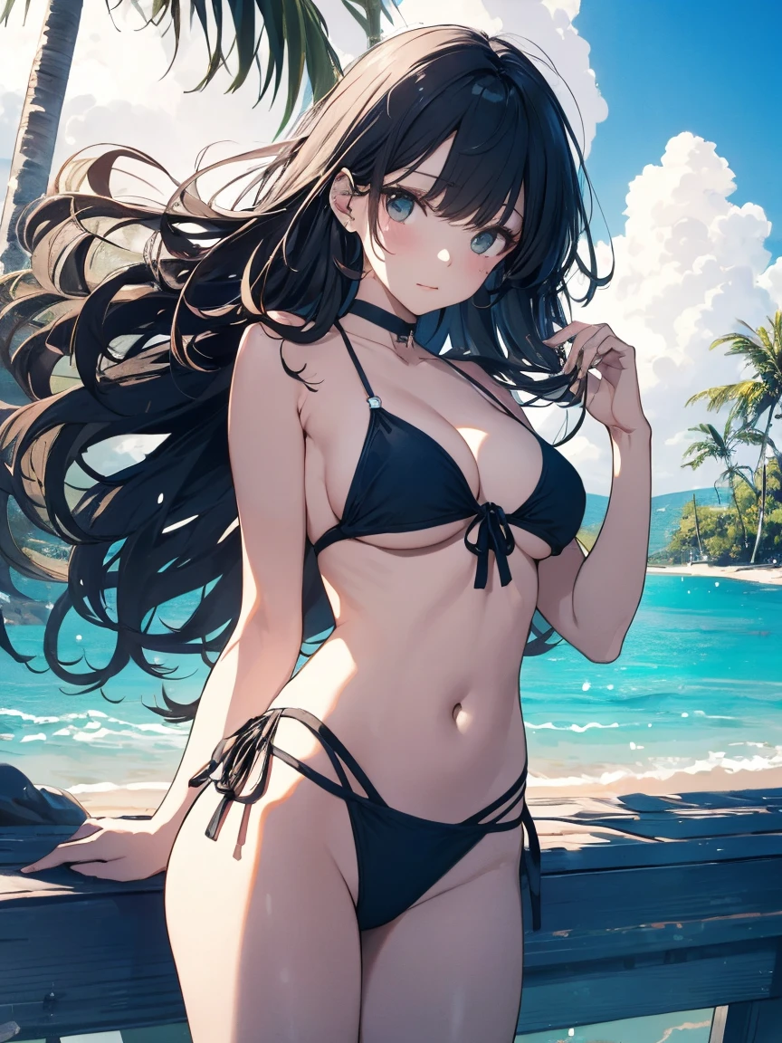 highest quality、masterpiece、超detailed、Delicate features、Delicate skin、beautifuldetailedな輝き、beautiful照明、complicated、8k resolution、Realistic Shadows、Realistic lighting、Ray Tracing、complicatedなdetailed、From below、Cowboy Shots、One girl、Large Breasts、bikini、Glowing Skin、Estrus、Are standing、((Sandy Beach:1.4))、detailed:1.5、Delicate colors、An illustration、Bright colors、beautiful、、、Yukari Higa Style、Takane Mana、