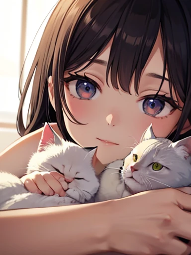 masterpiece, 最high quality, so beautiful, Absurd, up to date,Close-up of a cat lying on a girl's head, Beautiful fine details, Beautifully detailed nose, Beautiful and detailed mouth, Very fine fur, Soft and fluffy, Adorable, Playful, Curious look, Long Hair Girl, Girl looking up at cat, Intricate details, high quality, 8k, Realistic, masterpiece, Natural light, Warm tones