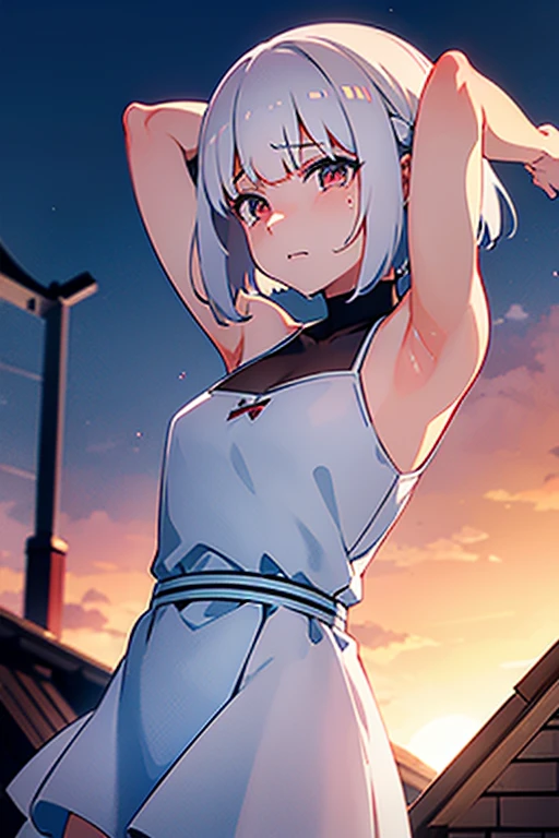 (crying)(white short hair)(red eye)(Sit on the roof)(dusk)(face to the sky)(whole body)(Profile)(Sunset) 4k