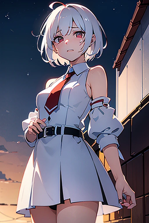 (crying)(white short hair)(red eye)(Sit on the roof)(dusk)(face to the sky)(whole body)(Profile)(Sunset)(despair)4k