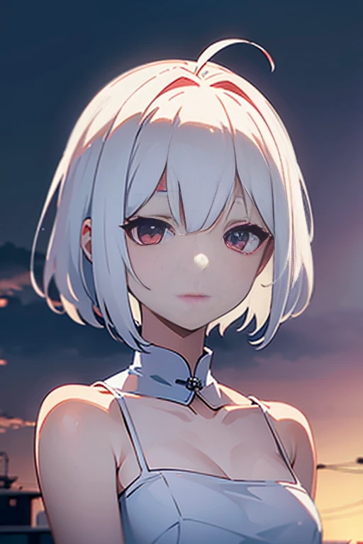 (white short hair)(red eye)(Sit on the roof)(whole body)(Profile)(Sunset)(despair)(No hope)(Cover face)(sad)(Dull eyes)4k