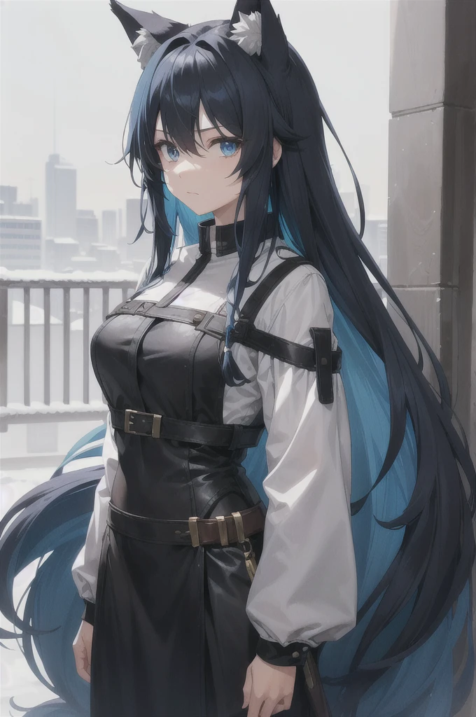 create a character with long hair and her hair color is brown with some blue highlights, her right eye is dark blue and her left is black, with ears and a wolf tail