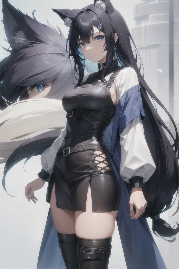 create a character with long hair and her hair color is brown with some blue highlights, her right eye is dark blue and her left is black, with ears and a wolf tail