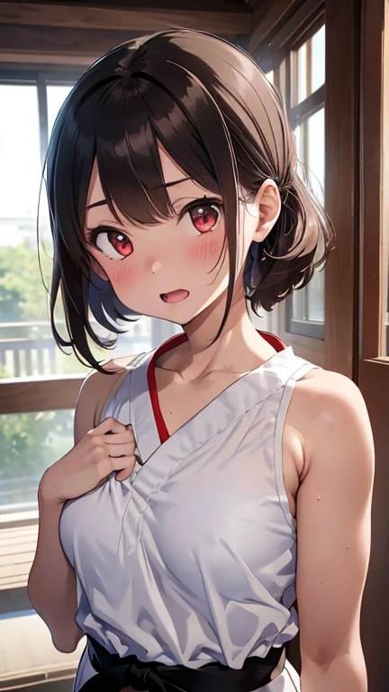 mastute piece,Best Quality,insanely detailed,8k cg,nsfw,
(shoot upper body:1.3),
(1girls:1.3),standing,looking at viewr,body in front,both arms behind back,(karate、karate着),
break,
blush,shy,(trembling:1.2),(Brown Hair),
break,
perfect ,perfect teats,(open mouth:0.9),
(karate道場)、