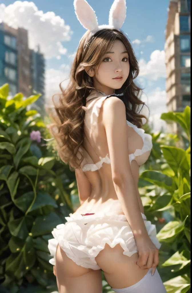 COS-兔子半球女仆 v1.0