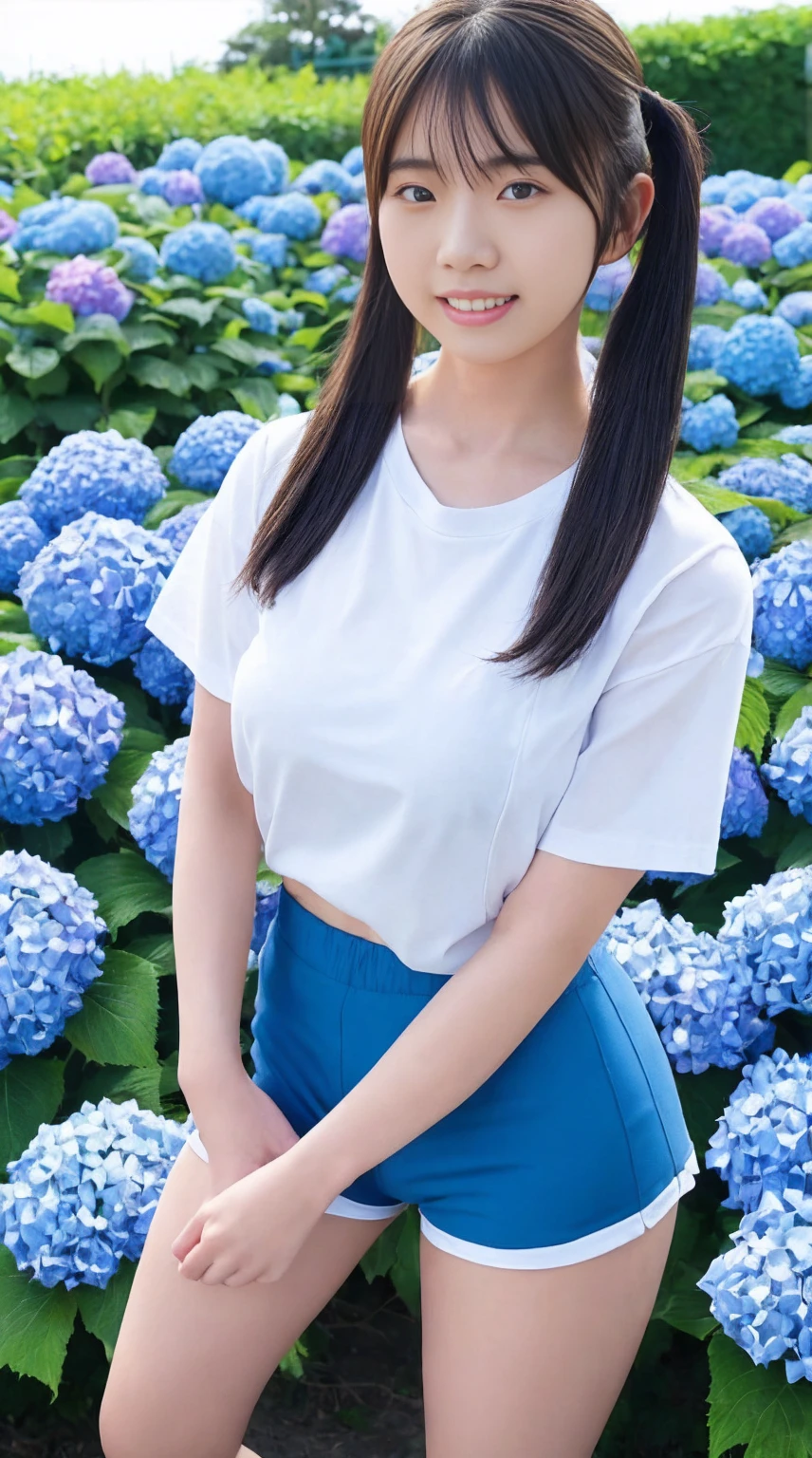 最high quality、high quality、Best image quality、8k,Japanese female students in gym clothes, White short sleeve shirt:1.2,Blue tight bloomers:1.6,The base of the legs is visible:1.2,Thighs look good:1.5,Strong sweat and humidity, The camera is in front、Woman looking at the front、Her clothes are see-through、It clung tightly to her body,Her breasts are of a moderate size, The shape is slightly visible through the damp fabric,Twin tails:1.4,smile、最High resolution、High resolution、最high quality、masterpiece、RAW Photos、whole body写真、Detailed and realistic human body、Detailed and realistic skin、Realistic face in every detail、Detailed and realistic eyes、Detailed and realistic lips、Detailed and realistic teeth、Detailed and realistic ears、Detailed and realistic hair、Detailed and realistic weapons、Realistic reproduction of every detail、Realistic fingers in every detail、(Beautiful Hands、thumb１reference４)、Realistic feet down to the last detail、((Beautiful Japanese Woman))、(Japanese Model)、((21 year old beautiful woman))、(Black Hair)、(Straight hair)、((whole body))、(Slim and perfect figure)、(whole body光沢肌、Fair skin)、Detailed and realistic human body、Detailed and realistic skin、Realistic face in every detail、Detailed and realistic weapons、Realistic fingers in every detail、Detailed realistic feet、Soft natural light、A 360-degree view of hydrangea fields、((Standing in the middle of a hydrangea field(A girl surrounded by hydrangeas 360 degrees))、Poses to make your thighs look beautiful