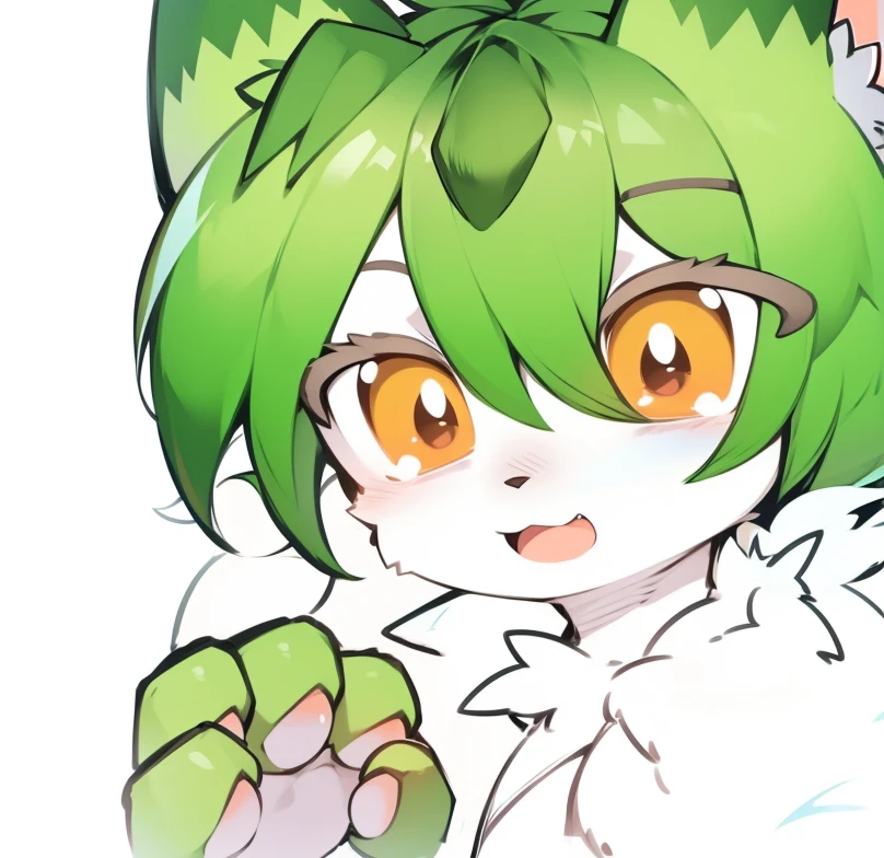 boy,Furry wolf,((Shota)), Black and white hair, Good figure, Handsome,Lovely, Light:極端的Light與影, 反Light皮,((solo,The only person)),Outdoor sunset,stand up
