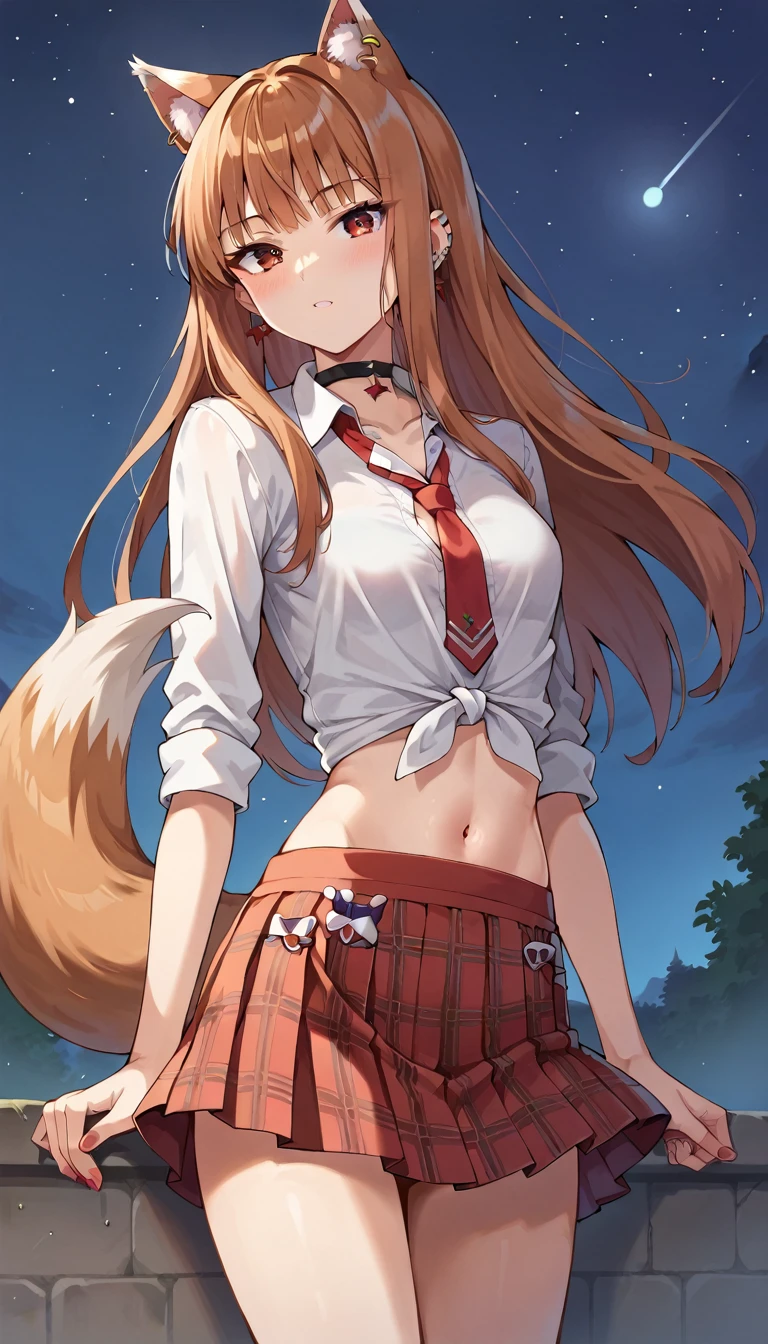 score_9, score_8_up, score_7_up, score_6_up, source anime,(masterpiece, best quality:1.3),extremely detailed,cowboy shot,1girl,(holo),spice and wolf,solo,wolf girl,wolf ears,wolf tail,light, brown hair,small breasts,center opening,cleavage,navel,nail polish,slim legs,long hair,earings,looking at viewer,ear piercing,red necktie, school uniform, skirt, choker, shirt, piercing, black choker, jewelry, earrings, white shirt, plaid skirt, tied shirt, plaid, pleated skirt, collared shirt, red skirt ,outdoors, star \(sky\), night, best quality,amazing quality,very aesthetic,absurdres