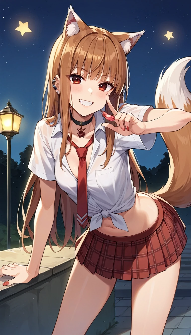 score_9, score_8_up, score_7_up, score_6_up, source anime,(masterpiece, best quality:1.3),extremely detailed,cowboy shot,1girl,(holo),spice and wolf,solo,wolf girl,wolf ears,wolf tail,light, brown hair,small breasts,cleavage,navel,nail polish,slim legs,long hair,earings,looking at viewer,grin,bent over,red necktie, school uniform, skirt, choker, shirt, piercing, black choker, jewelry, white shirt, plaid skirt, tied shirt, plaid, pleated skirt, collared shirt, red skirt ,outdoors, star \(sky\), night, best quality,amazing quality,very aesthetic,absurdres
