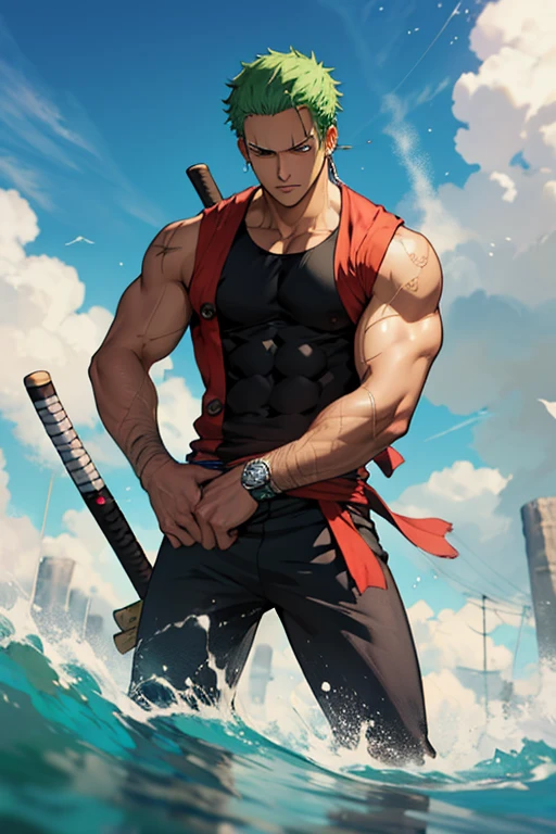 Zoro one Piece
