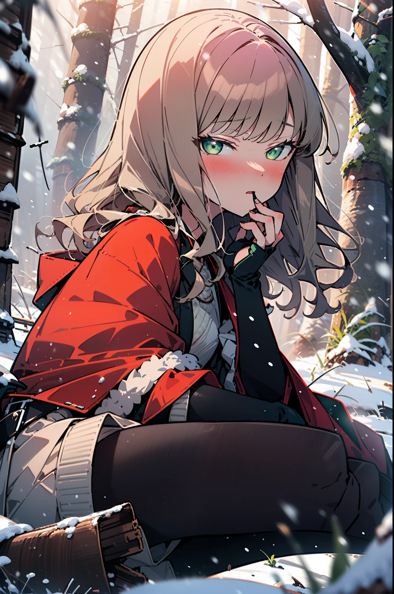 minami yume ,sss Dynazenon ,Long Hair, Brown Hair, (Green Eyes:1.5) ,blush,White Breath,
Open your mouth,snow,Ground bonfire, Outdoor, boots, snowing, From the side, wood, suitcase, Cape, Blurred, forest, White handbag, nature,  Squat, Mouth closed, Cape, winter, Written boundary depth, Black shoes, red Cape break looking at viewer, Upper Body, whole body, break Outdoor, forest, nature, break (masterpiece:1.2), highest quality, High resolution, unity 8k wallpaper, (shape:0.8), (Beautiful and beautiful eyes:1.6), Highly detailed face, Perfect lighting, Highly detailed CG, (Perfect hands, Perfect Anatomy),