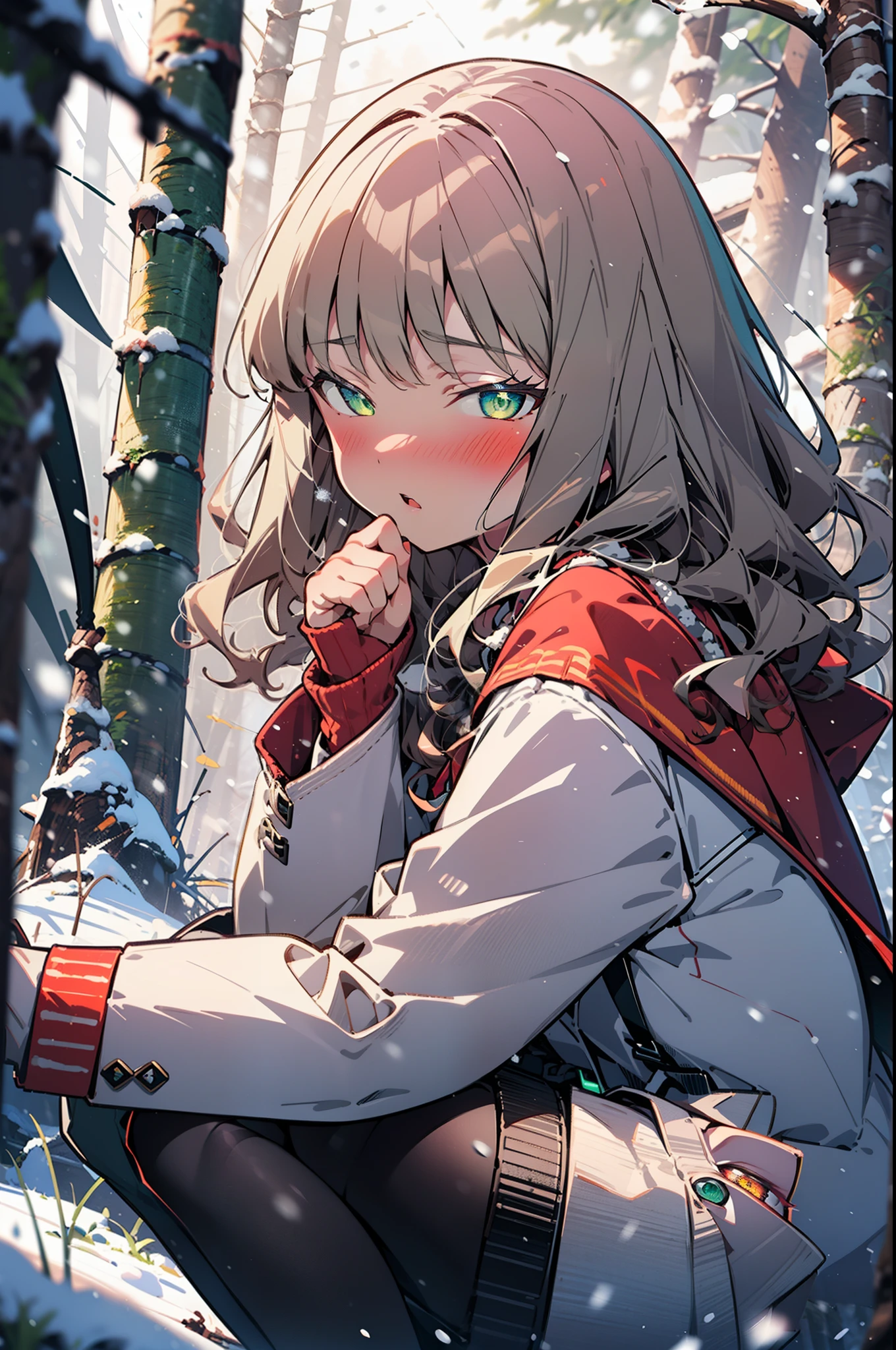 minami yume ,sss Dynazenon ,Long Hair, Brown Hair, (Green Eyes:1.5) ,blush,White Breath,
Open your mouth,snow,Ground bonfire, Outdoor, boots, snowing, From the side, wood, suitcase, Cape, Blurred, forest, White handbag, nature,  Squat, Mouth closed, Cape, winter, Written boundary depth, Black shoes, red Cape break looking at viewer, Upper Body, whole body, break Outdoor, forest, nature, break (masterpiece:1.2), highest quality, High resolution, unity 8k wallpaper, (shape:0.8), (Beautiful and beautiful eyes:1.6), Highly detailed face, Perfect lighting, Highly detailed CG, (Perfect hands, Perfect Anatomy),