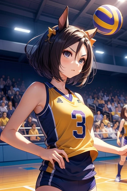 air groove \(umamusume\), volleyball, multiple girls, sportswear, stadium