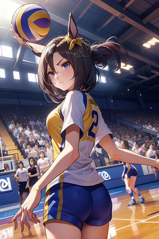 air groove \(umamusume\), volleyball, multiple girls, sportswear, stadium