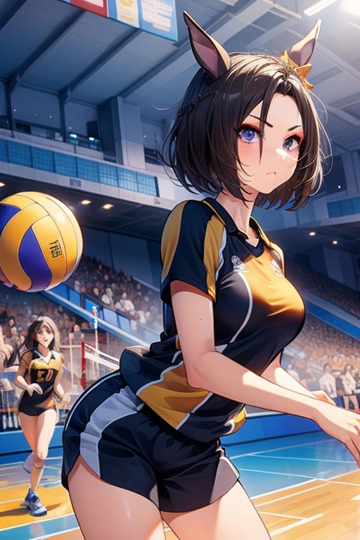 air groove \(umamusume\), volleyball, multiple girls, sportswear, stadium
