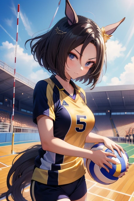 air groove \(umamusume\), volleyball, multiple girls, sportswear, stadium