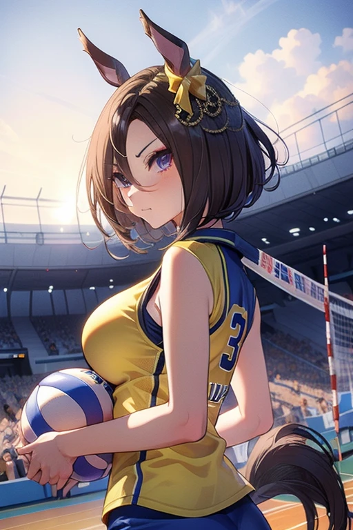 air groove \(umamusume\), volleyball, multiple girls, sportswear, big tits, stadium