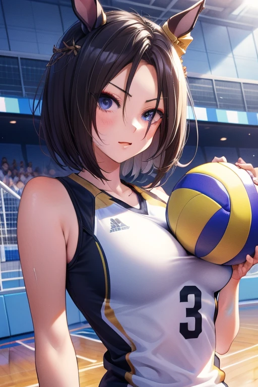 air groove \(umamusume\), volleyball, multiple girls, sportswear, big tits, stadium