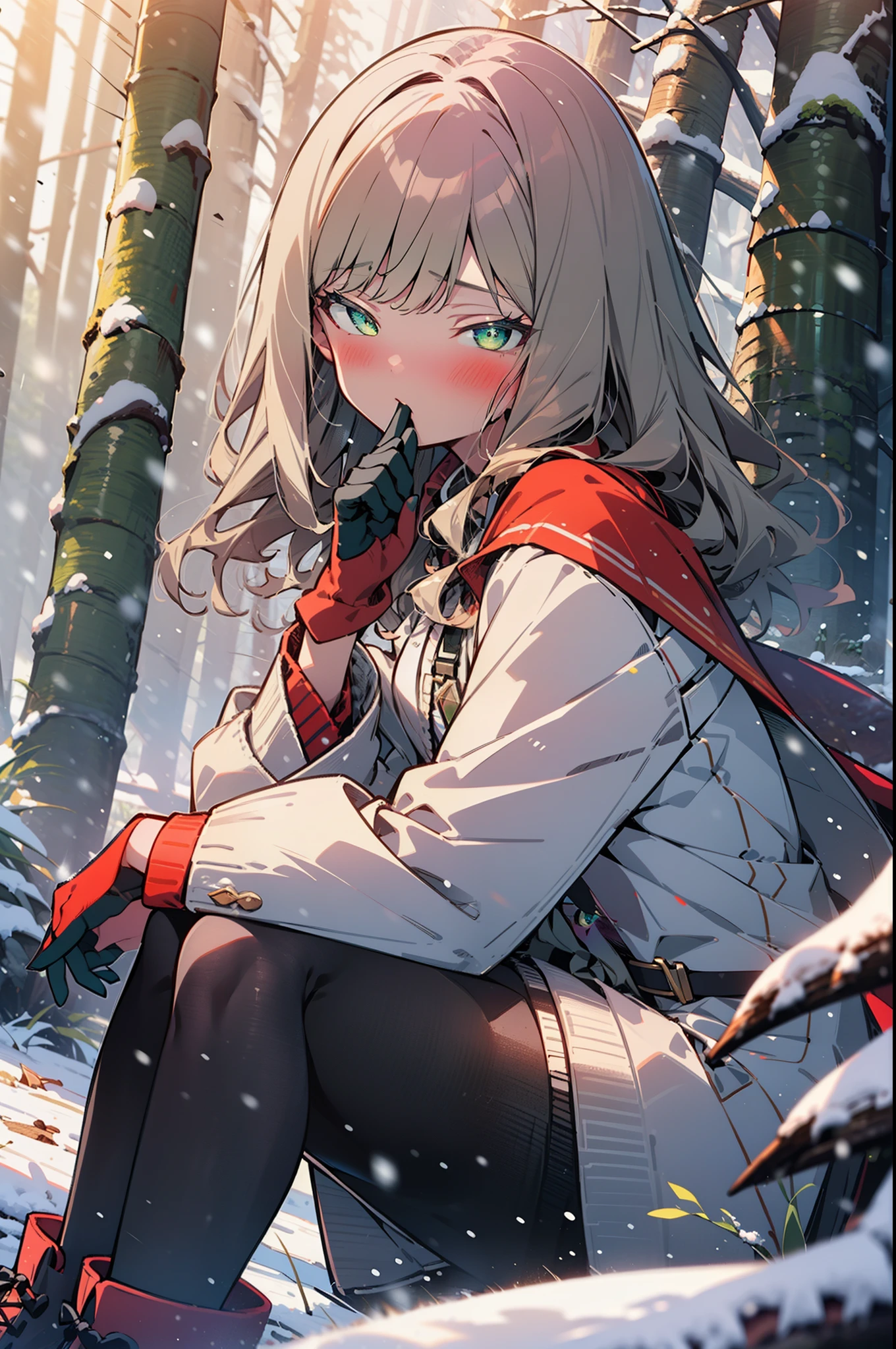 minami yume ,sss Dynazenon ,Long Hair, Brown Hair, (Green Eyes:1.5) ,blush,White Breath,
Open your mouth,snow,Ground bonfire, Outdoor, boots, snowing, From the side, wood, suitcase, Cape, Blurred, forest, White handbag, nature,  Squat, Mouth closed, Cape, winter, Written boundary depth, Black shoes, red Cape break looking at viewer, Upper Body, whole body, break Outdoor, forest, nature, break (masterpiece:1.2), highest quality, High resolution, unity 8k wallpaper, (shape:0.8), (Beautiful and beautiful eyes:1.6), Highly detailed face, Perfect lighting, Highly detailed CG, (Perfect hands, Perfect Anatomy),