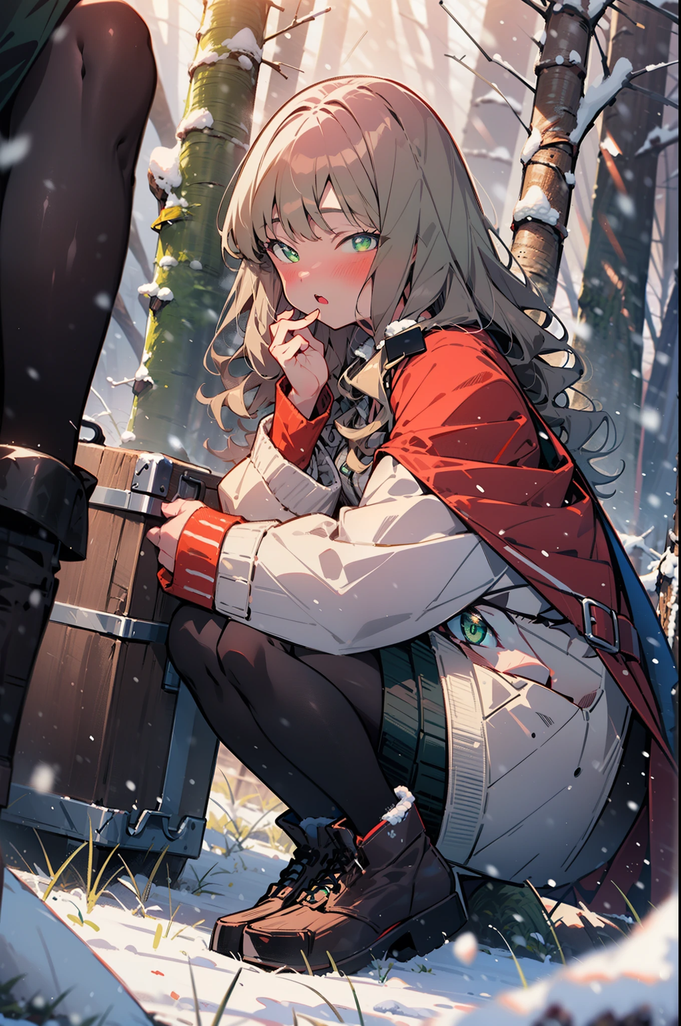 minami yume ,sss Dynazenon ,Long Hair, Brown Hair, (Green Eyes:1.5) ,blush,White Breath,
Open your mouth,snow,Ground bonfire, Outdoor, boots, snowing, From the side, wood, suitcase, Cape, Blurred, forest, White handbag, nature,  Squat, Mouth closed, Cape, winter, Written boundary depth, Black shoes, red Cape break looking at viewer, Upper Body, whole body, break Outdoor, forest, nature, break (masterpiece:1.2), highest quality, High resolution, unity 8k wallpaper, (shape:0.8), (Beautiful and beautiful eyes:1.6), Highly detailed face, Perfect lighting, Highly detailed CG, (Perfect hands, Perfect Anatomy),