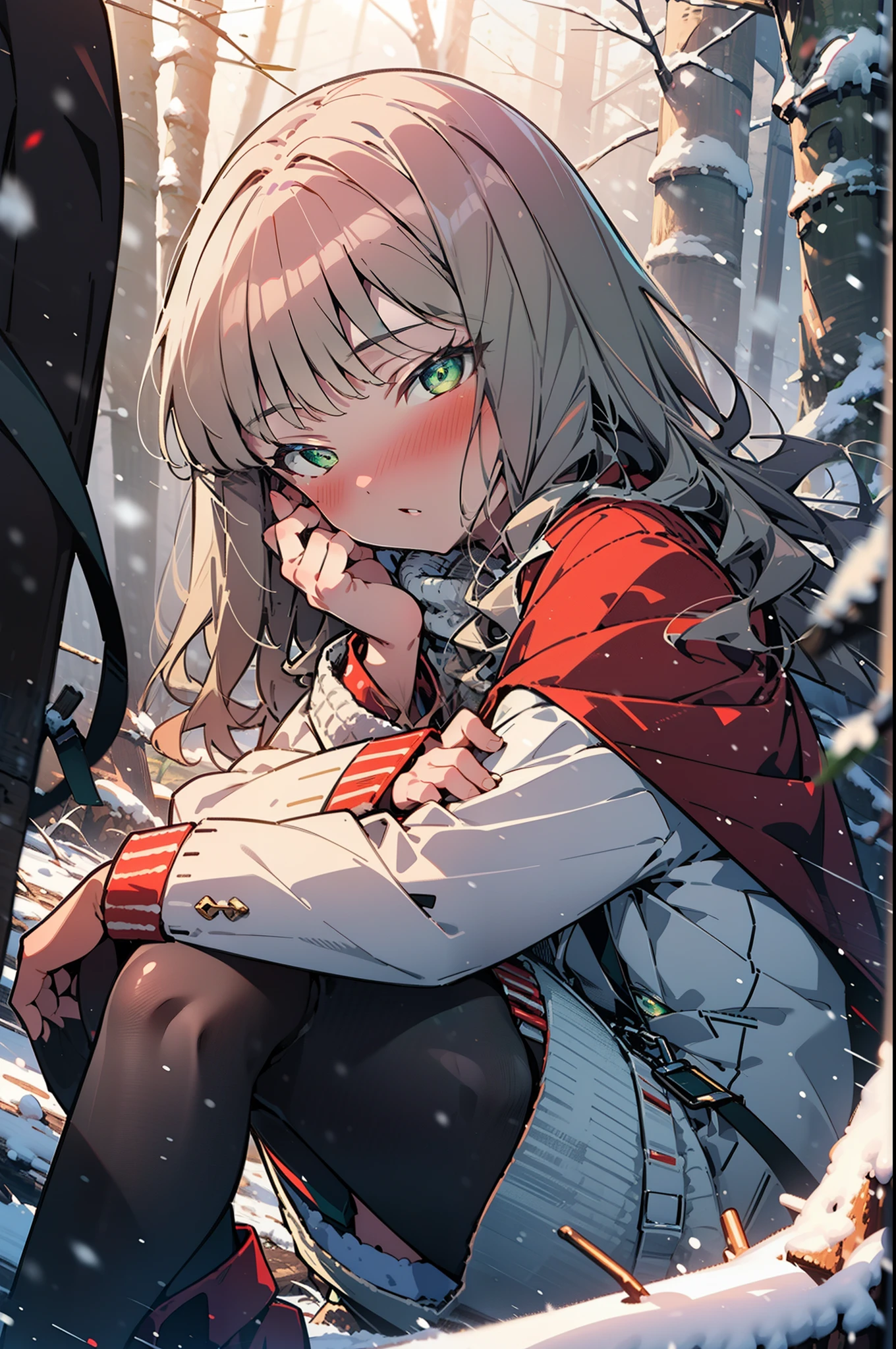 minami yume ,sss Dynazenon ,Long Hair, Brown Hair, (Green Eyes:1.5) ,blush,White Breath,
Open your mouth,snow,Ground bonfire, Outdoor, boots, snowing, From the side, wood, suitcase, Cape, Blurred, forest, White handbag, nature,  Squat, Mouth closed, Cape, winter, Written boundary depth, Black shoes, red Cape break looking at viewer, Upper Body, whole body, break Outdoor, forest, nature, break (masterpiece:1.2), highest quality, High resolution, unity 8k wallpaper, (shape:0.8), (Beautiful and beautiful eyes:1.6), Highly detailed face, Perfect lighting, Highly detailed CG, (Perfect hands, Perfect Anatomy),
