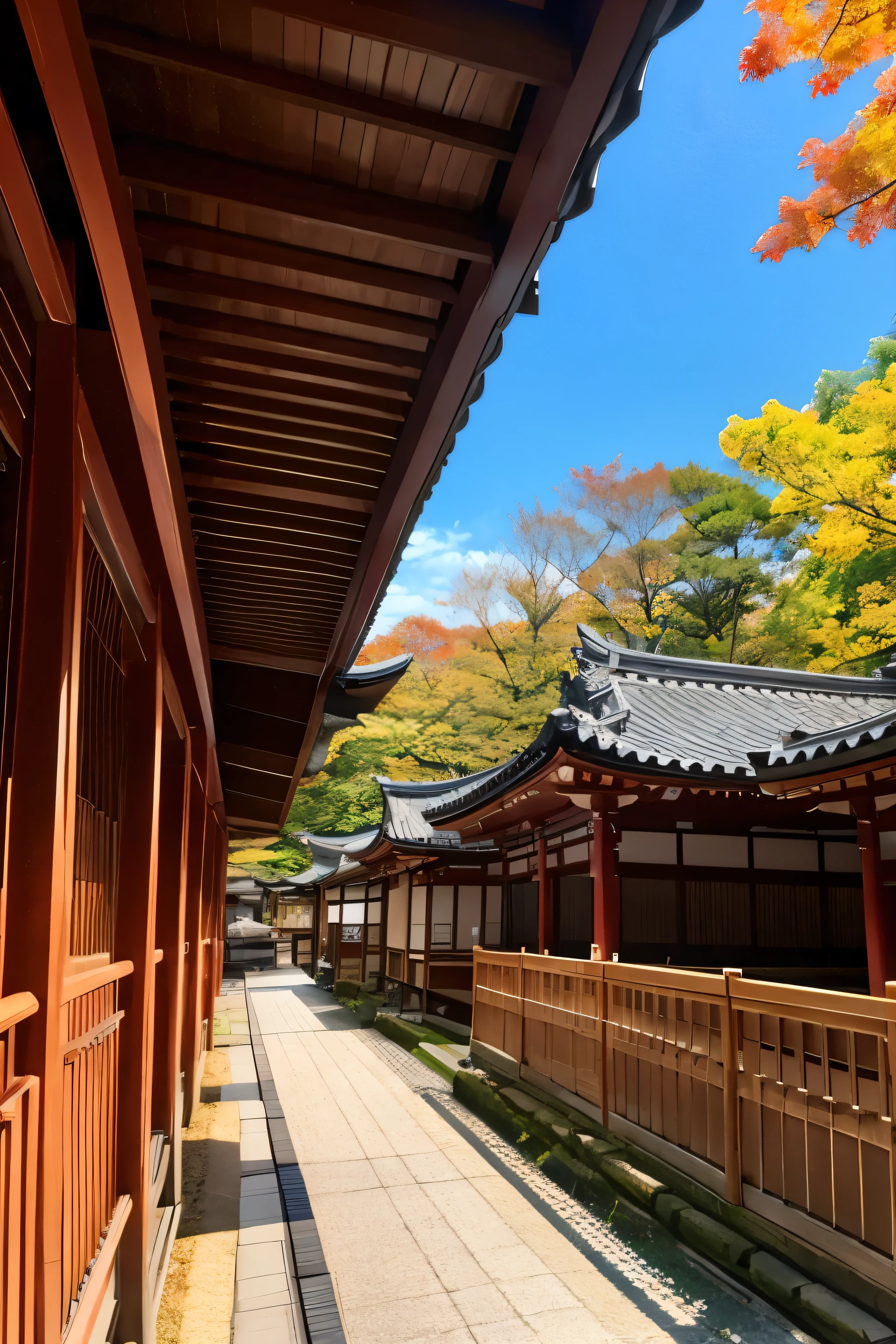 autumn、Kyoto、Linze Zong、Temple、