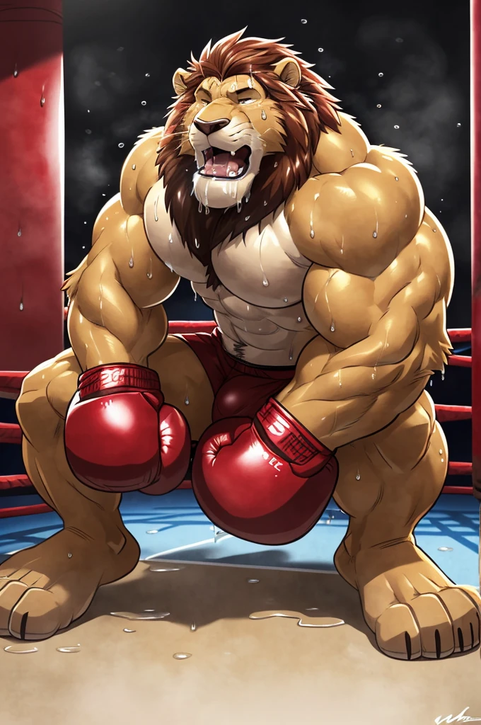 ((solo)), (anthro) lion, adult, mature, masculine, slim:1.2, skinny:1.2, tall:1, (correct anatomy:1.2), vascular veins, (cartoon fur, detailed fur texture:1.3), naked, (shirtless, boxing gloves, completely naked, ultradetailed, (by wfa:1.2), (by takemoto_arashi, by vorusuarts, by Traver009:1, by grimfaust:1), natural lighting ((boxing ring):1.4 background), (sweat:1.4, wet:1.6), (lots of sweat flowing down) exhausted, lion:1 head ((open eyes, detailed):1.2), open mouth (steaming breath:1.2, drooling, dripping saliva, thick drool) tongue sticking out, (serious:1.4) expression), grumpy, sad, lying down, collapsed, defeat, hard cock, big bulge, hard penis