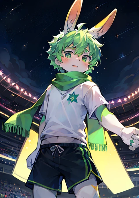 best quality: 0.8，4k，high quality，Super beautiful sky，night，Star，galaxy，brilliant，Sunlight，stadium，Fluorescent Green，Energetic，rabbit，A male，athlete，cute，Rabbit ears，Bunny Orc，teenager，cute帅气，Full body fur，Light green hair，Light green scarf，White shirt，shorts，Four-pointed star，天空Star，Stars in the eyes，