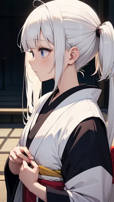 Japan Anime Taste White Hair Girl mysterious Her hairstyle is twin tails.