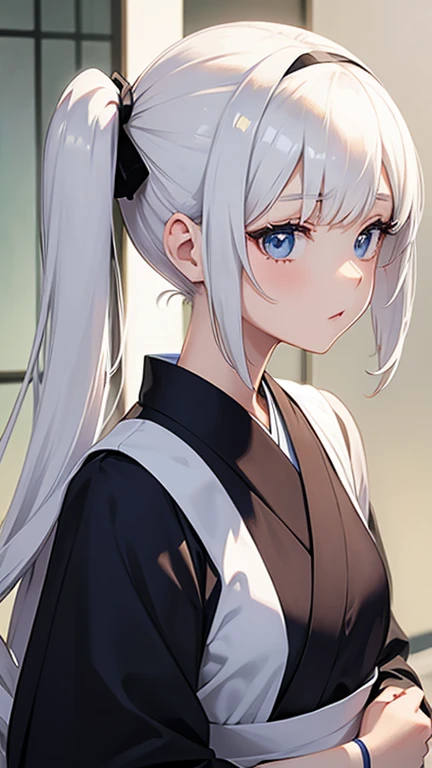 Japan Anime Taste White Hair Girl mysterious Her hairstyle is twin tails.