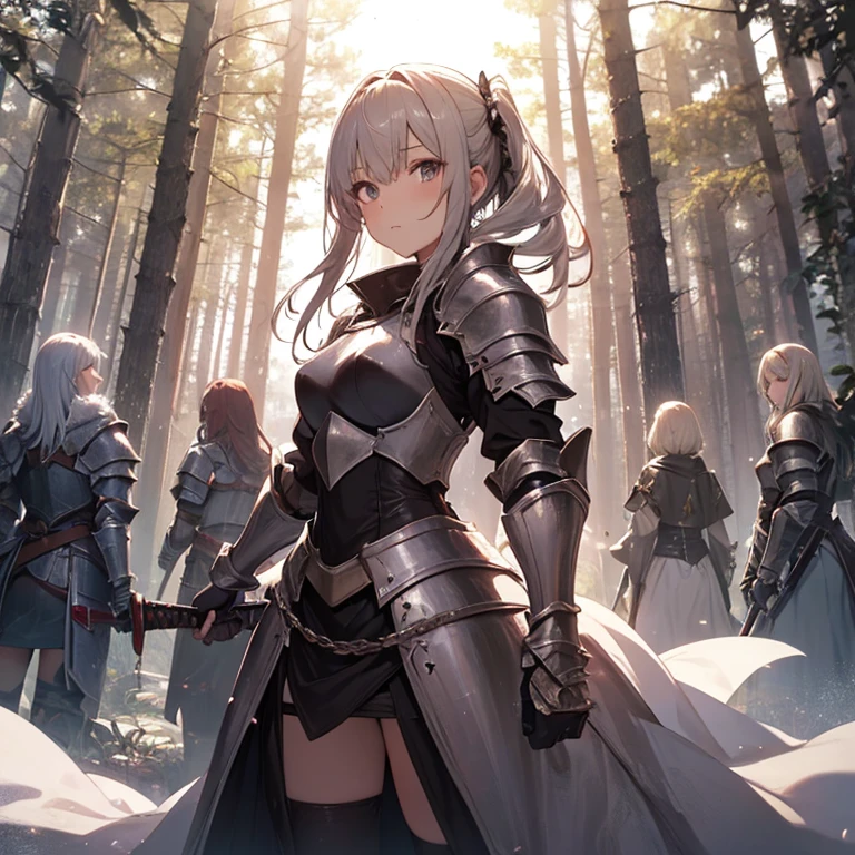 A group of  female knight, (in forest), various hair styles, harem, wearing armored clothes, metal armor, night, details face, , short skirt, seducing, sword 