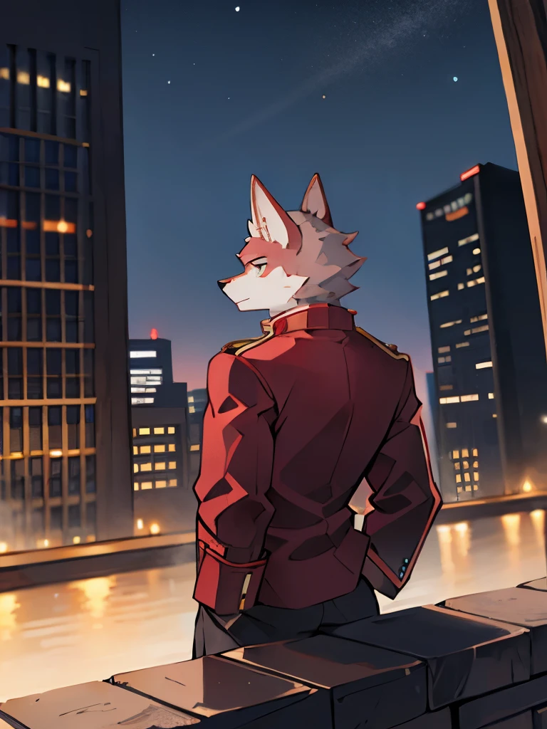 Exquisite lines,best quality,Red Orc,male,Wearing a grey jacket,pupil,Background City,night,Stand on the banks of the river,Looking into the distance