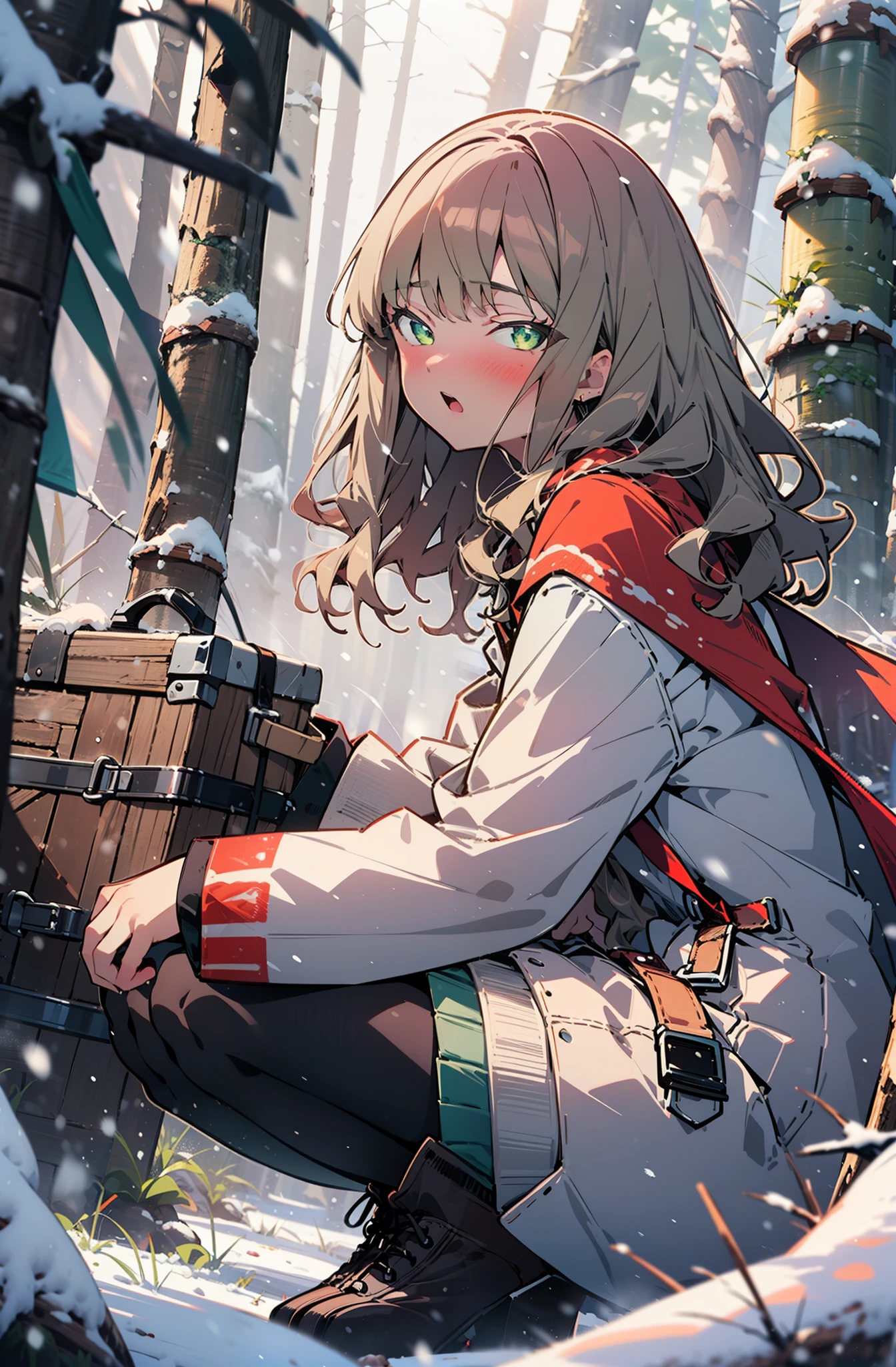 minami yume ,sss Dynazenon ,Long Hair, Brown Hair, (Green Eyes:1.5) ,blush,White Breath,
Open your mouth,snow,Ground bonfire, Outdoor, boots, snowing, From the side, wood, suitcase, Cape, Blurred, forest, White handbag, nature,  Squat, Mouth closed, Cape, winter, Written boundary depth, Black shoes, red Cape break looking at viewer, Upper Body, whole body, break Outdoor, forest, nature, break (masterpiece:1.2), highest quality, High resolution, unity 8k wallpaper, (shape:0.8), (Beautiful and beautiful eyes:1.6), Highly detailed face, Perfect lighting, Extremely detailed CG, (Perfect hands, Perfect Anatomy),