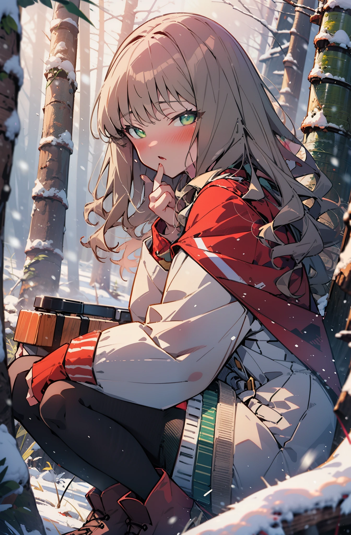 minami yume ,sss Dynazenon ,Long Hair, Brown Hair, (Green Eyes:1.5) ,blush,White Breath,
Open your mouth,snow,Ground bonfire, Outdoor, boots, snowing, From the side, wood, suitcase, Cape, Blurred, forest, White handbag, nature, Squat, Mouth closed, Cape, winter, Written boundary depth, Black shoes, red Cape break looking at viewer, Upper Body, whole body, break Outdoor, forest, nature, break (masterpiece:1.2), highest quality, High resolution, unity 8k wallpaper, (shape:0.8), (Beautiful and beautiful eyes:1.6), Highly detailed face, Perfect lighting, Extremely detailed CG, (Perfect hands, Perfect Anatomy),