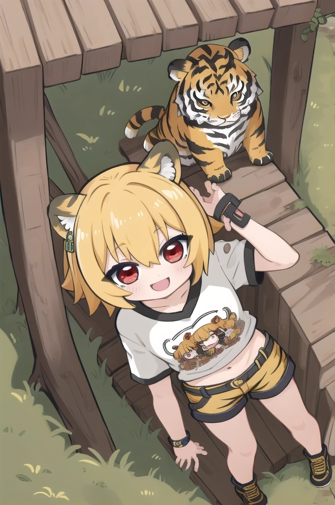 masterpiece, best quality, highly detailed, Chibi Character, cute,Animal Ear Girl,Yellow hair,Red eyes,1girl, solo, Tiger Girl,Shorts,shirt,grassland,smile