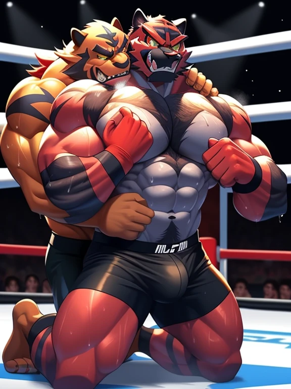 Two male fighters(Incineroar vs Incineroar, handsomes, perfect eyes, Thick eyebrows), gay(kneeling, holding ??????????? and his neck, on a MMA match), hot(Both are Shirtless, full body, bulges), handsomes(They are handsomes, correct ???????), musculosos(Big muscle bodies, Six packs, muscle abs, big pecs, muscle backs), sweaty(very sweaty wet bodies, shiny sweat), tatuajes(they have tattoos), Angry(They have an angry expression),MMA gloves(They both are wearing red MMA gloves), MMA boxers(both are wearing Black boxers), Hight resolution