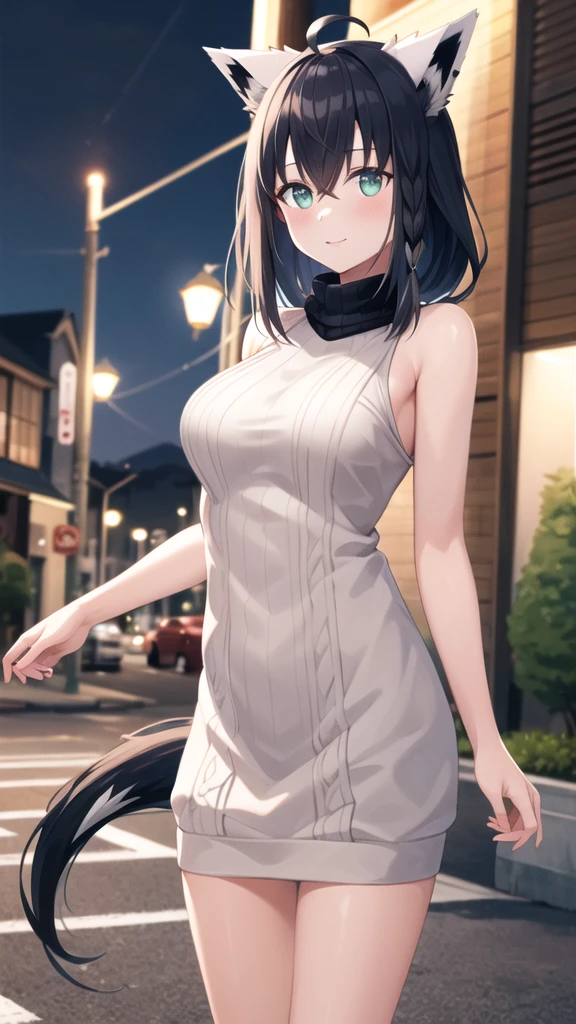 masterpiece, best quality, highres, Shirakami Fubuki, long hair, ahoge, animal ears, fox tail, breasts, outdoors, sweater dress, sleeveless, turtleneck, night, street, standing, cowboy shot,