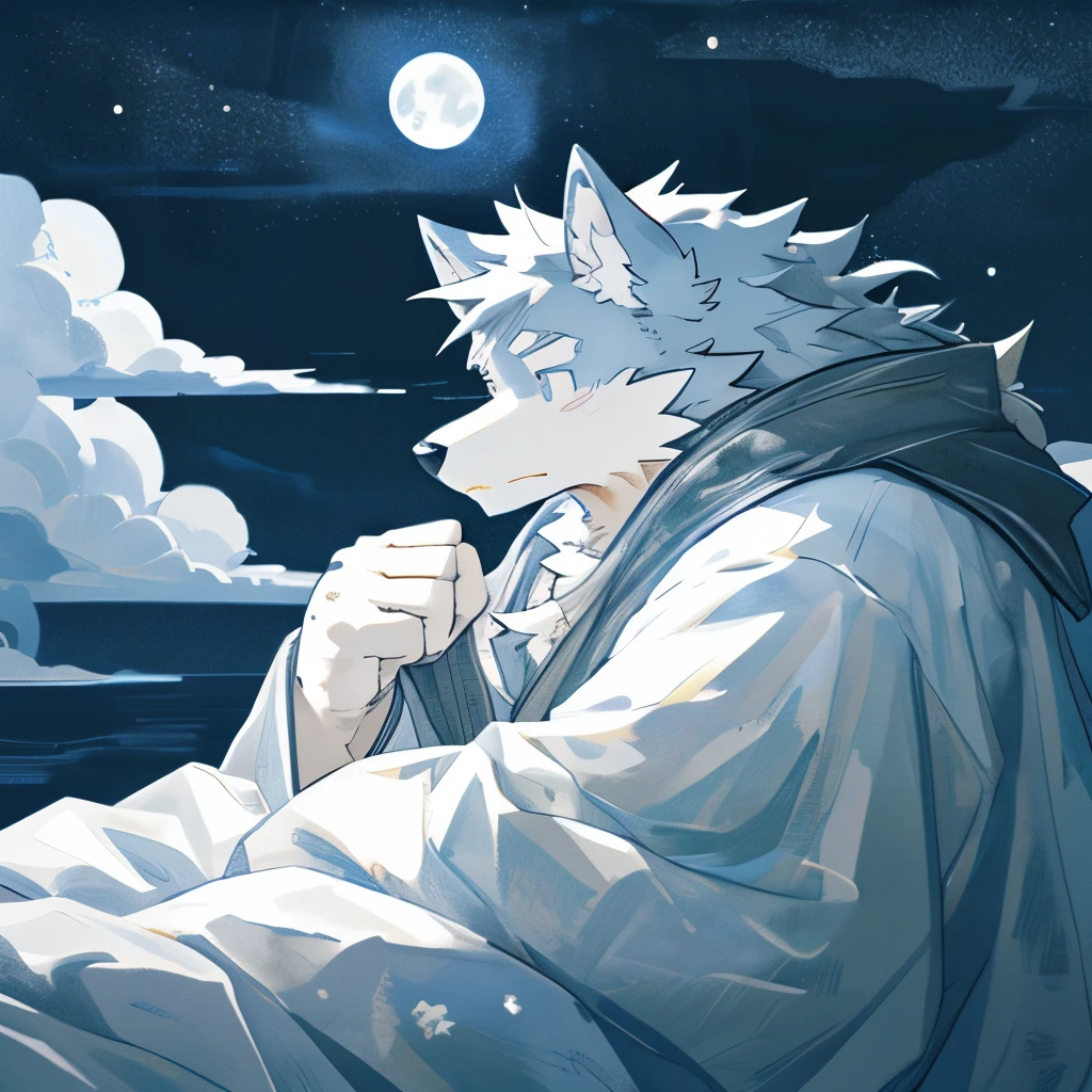 1 boy，furry art，kemono，((masterpiece)), (best quality), (simple style), Black and white style，Dark，Dim moonlight，Wolf Boy，Sleep，A quiet scene，Sea of clouds under moonlight