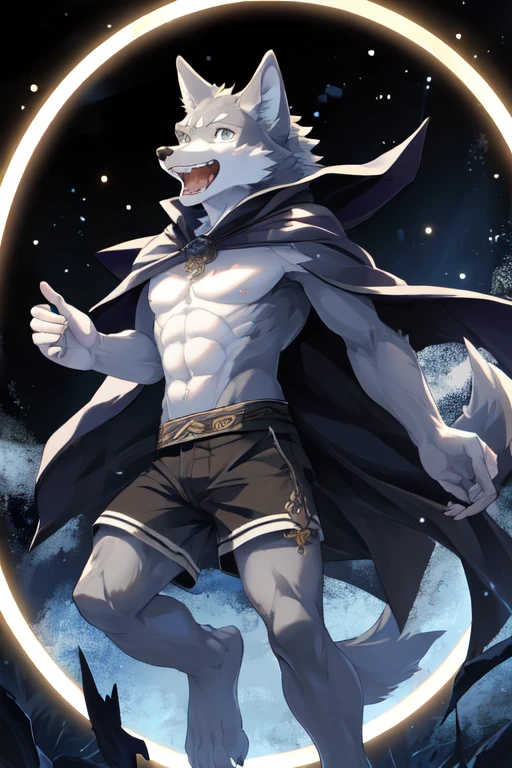 (masterpiece,best quality,perfect anatomy),detailed background,hi res,nj5furry,kemono,
solo,male anthro wolf,cloak,topless,shorts,laugh,looking at viewer,
dark theme,backlight,(circle light:1.4),magic,