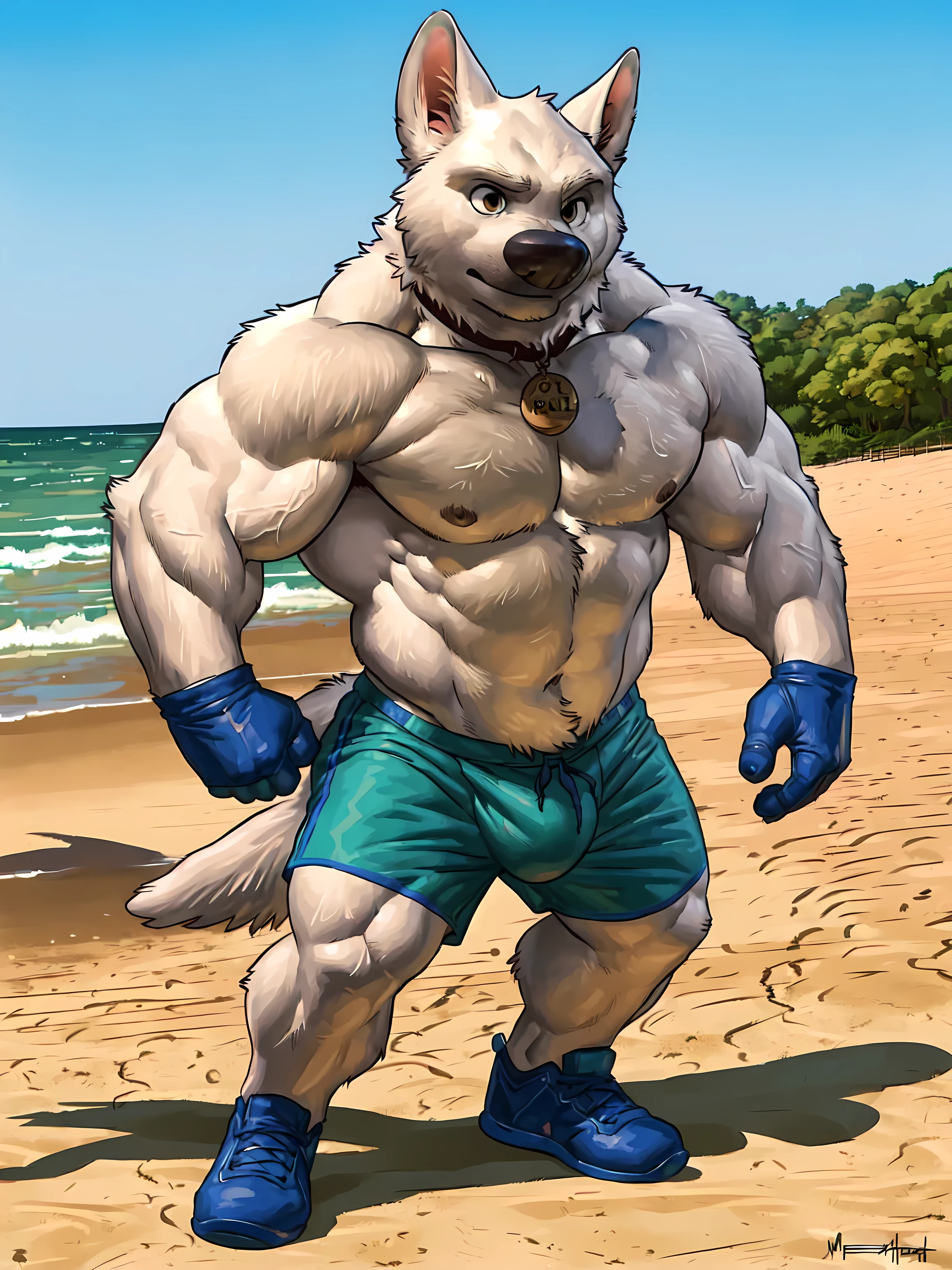 bolt the dog, 4k, high resolution, best quality, detailed, posted on e621, solo, anthro body, masculine, male, (very muscular, muscular legs:1.2), (beach background:1.0), (correct anatomy):1, (detailed eyes:1.1), sexy, (cel shaded:1.2), cartoony shading, (strong shadows, dramatic shadows):1.2, confident, (by wfa, by meesh, by Taran Fiddler), strong, (half body, upper body:1.1), collar, swim shorts, bulge, gloves, shoes