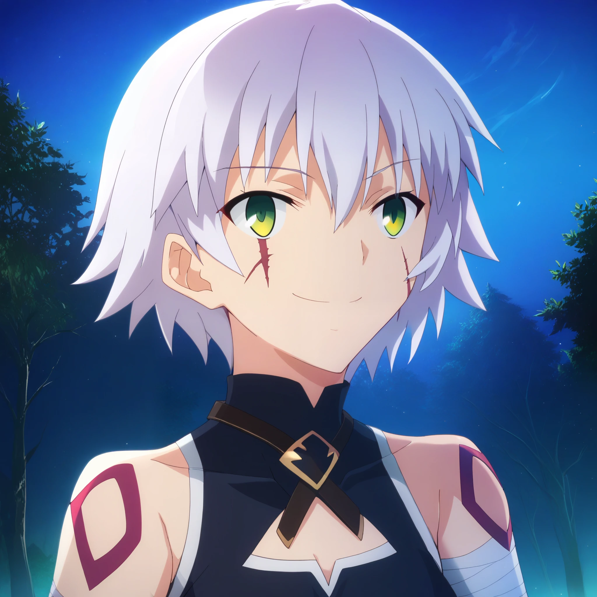 score_9, score_8_up, score_7_up, score_6_up, score_5_up, score_4_up, BREAK source_anime, masterpiece, fsn_ubw_style, 1girl, short hair, grey hair, green eyes, scar on face, scar on cheek, scar across eye, shoulder tattoo, bandages, bandaged arm, arm belt, belt, sleeveless, panties, black panties, lowleg, lowleg panties, fingerless gloves, single glove, thigh boots, thighhighs, evil smile,  night, outdoors, forest, upper body,