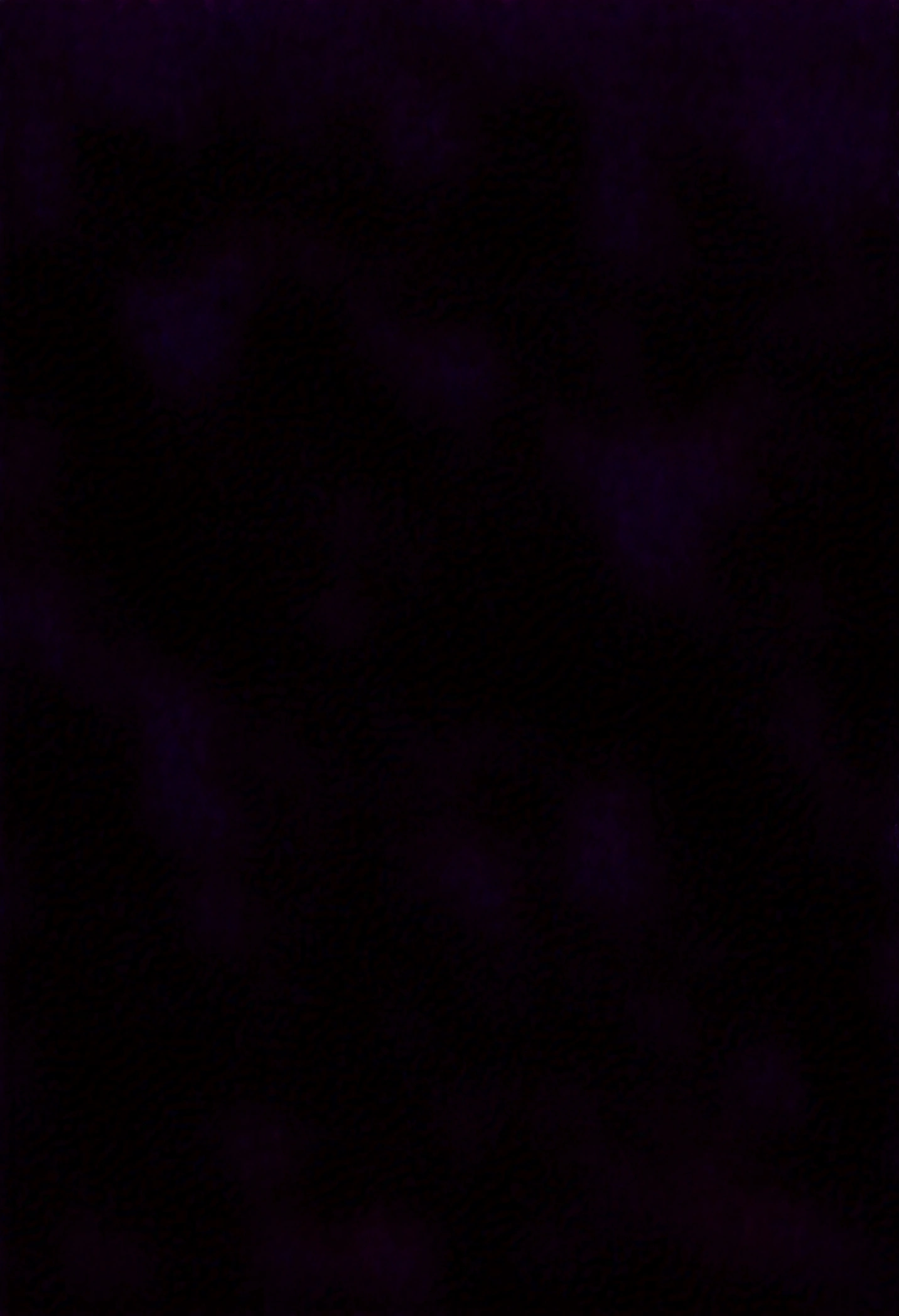Two people, A boy and a girl, Two children shouting at each other, ???, yinji, one girl has double Fried Dough Twists braids, (((white to purple hair))), the other girl has short hair, On the opposite side, kaeruyama yoshitaka