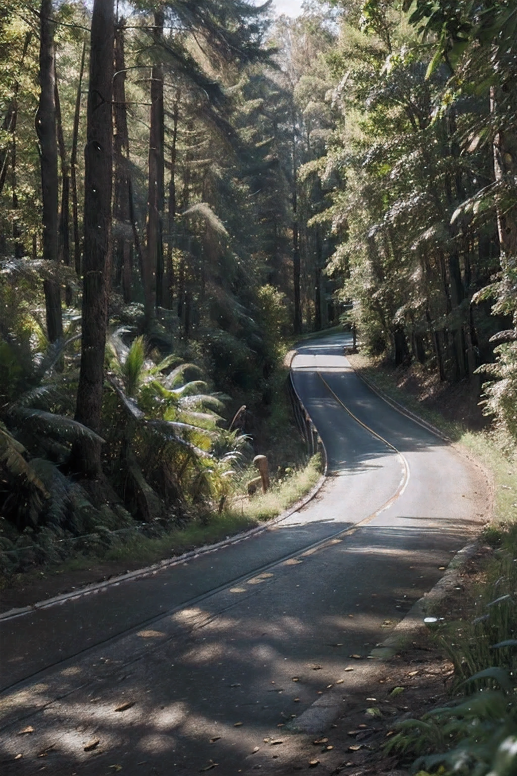 create a realistic landscape, of a forest with dense vegetation, vibrant colors, beautiful day, a winding road passing through it, camera located in a high place, camera used canon 6D mark II, $K